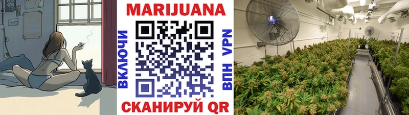 Купить закладку Марихуана  Alpha-PVP  COCAIN  ГАШИШ  МДМА  Мефедрон  Амфетамин  Ардатов