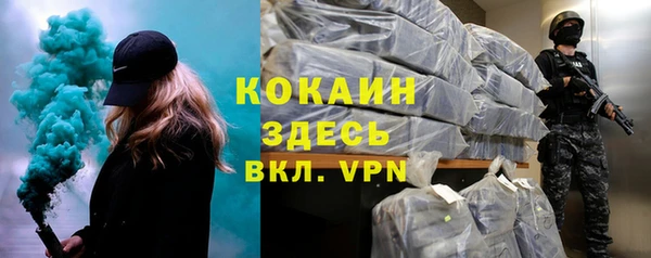 ешки Алексин